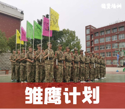 郑州雏鹰计划