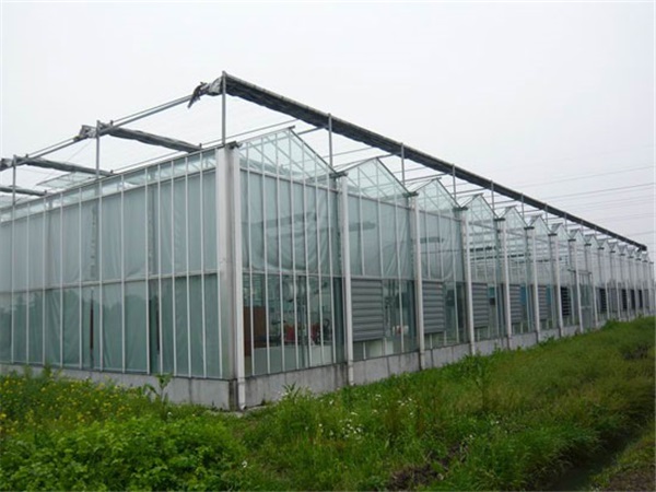 玻璃温室施工