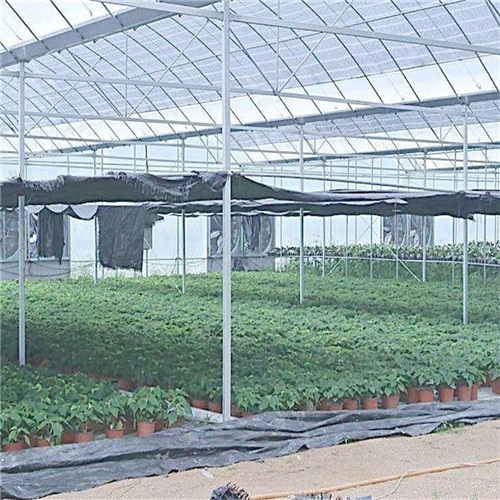 安徽蔬菜薄膜温室