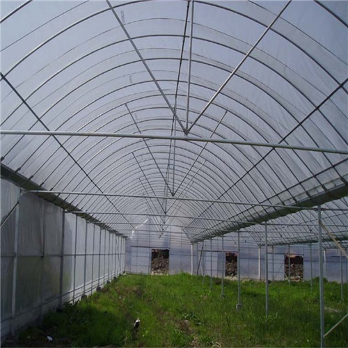 安徽蔬菜薄膜温室厂家