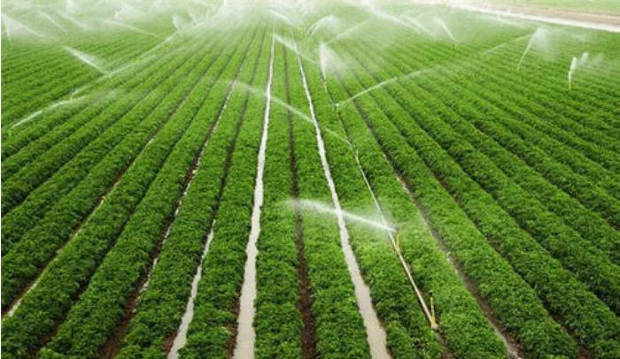 智慧农业：我国水肥一体机的功能及原理