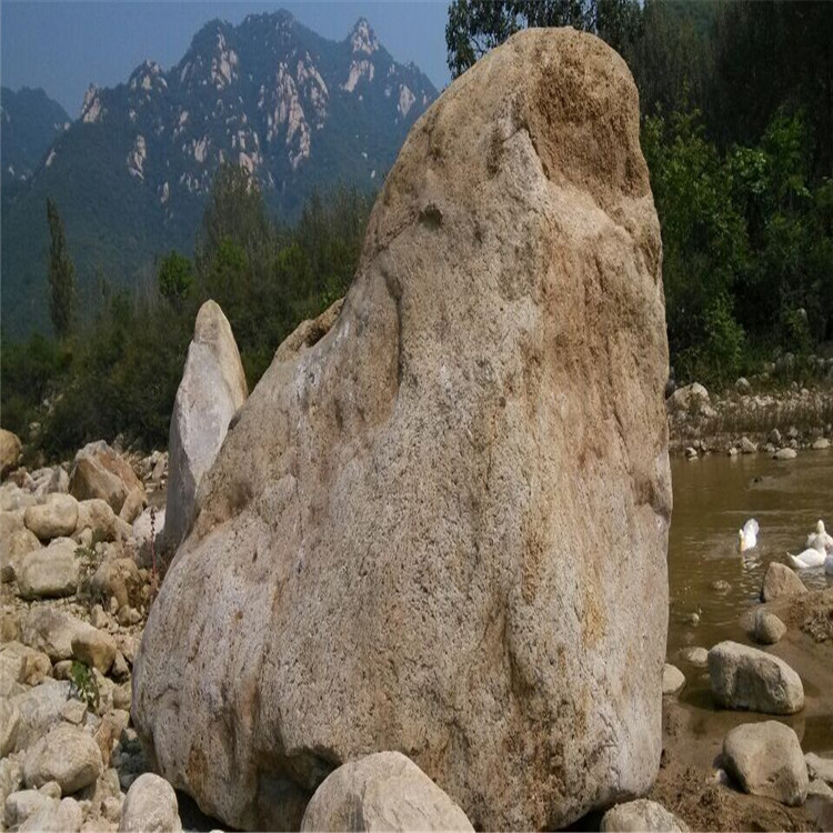 河南野山石 观赏石类
