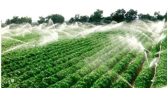 智慧農業四大高效節水技術，你都知道哪幾種？