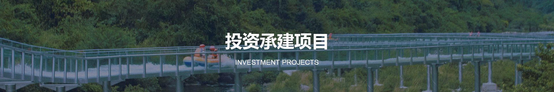 投资承建项目