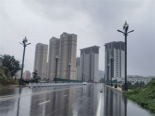 新安县南京桥12米玉兰灯展览图