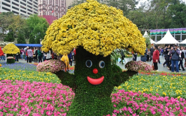 西安市政绿化花卉