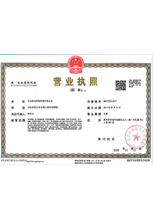 西安紫光环保营业执照