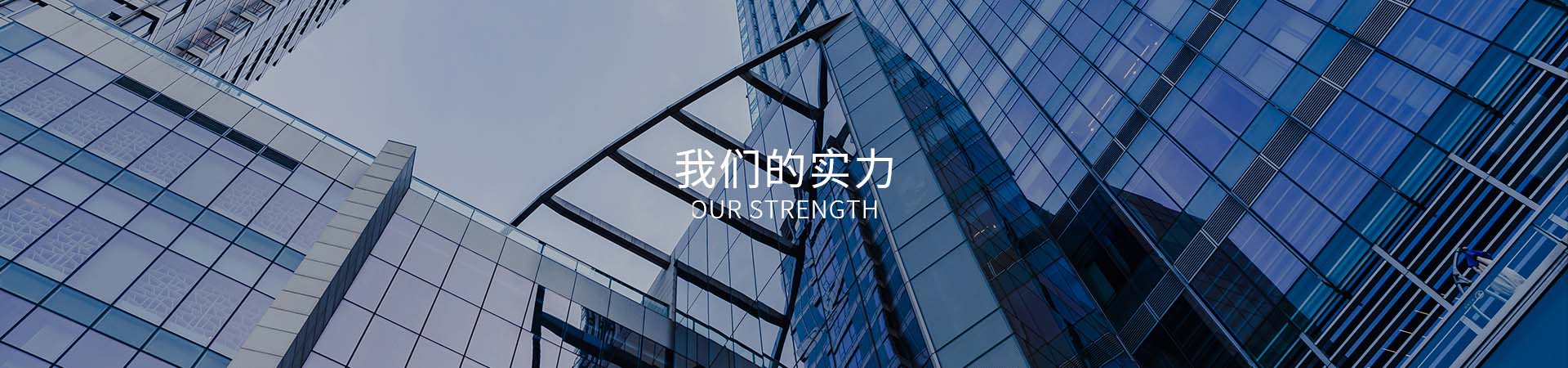 我们的实力
