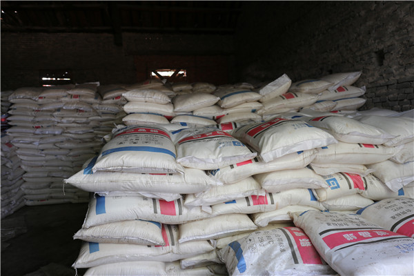 強(qiáng)強(qiáng)聯(lián)手