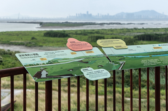 深圳红树林生态公园户外科普互动导视设计 成都公园景区商场标识标牌制作