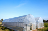 新型农业模式——四川温室大棚