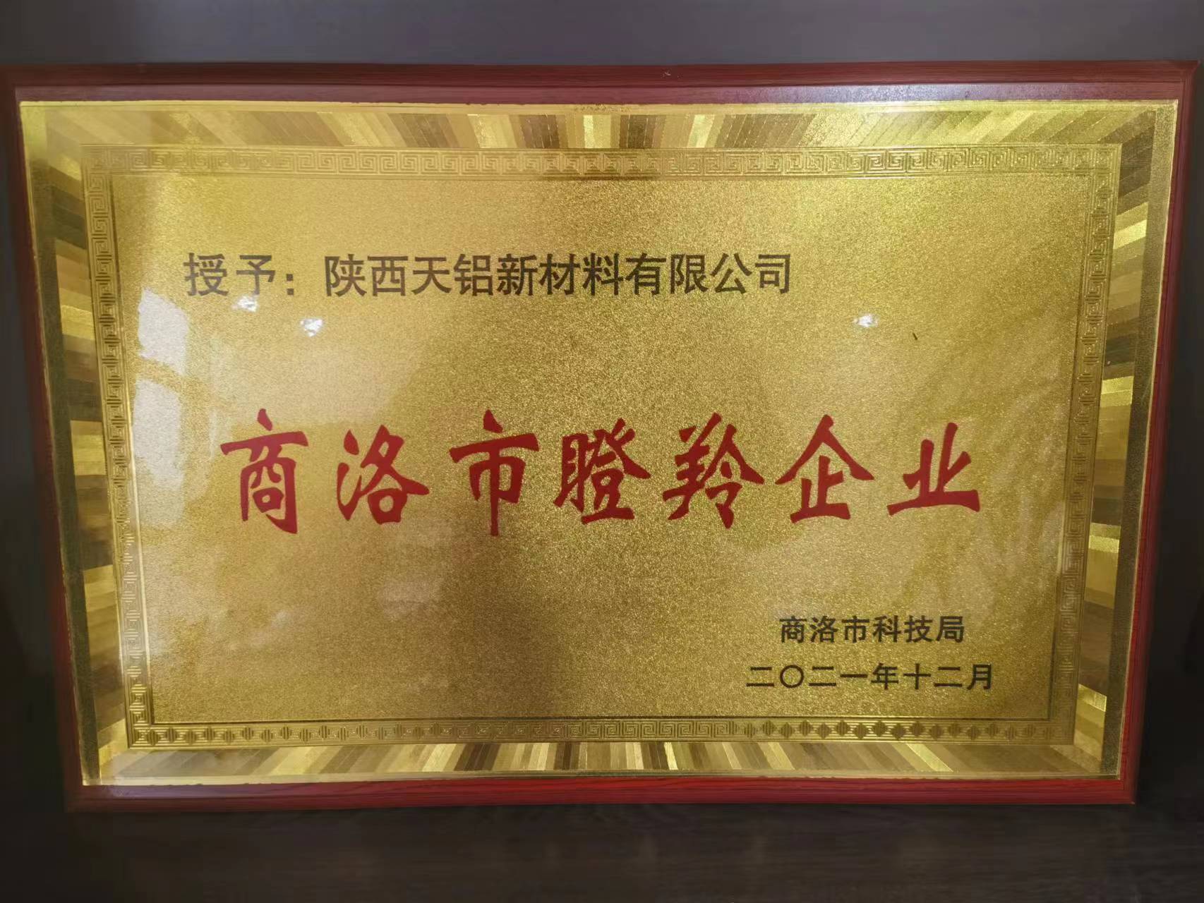 商洛市瞪羚企业