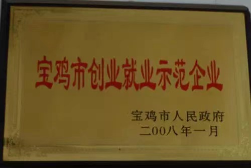 寶雞市創(chuàng)業(yè)就業(yè)示范企業(yè)