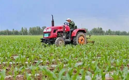 农业生产托管成为现代农业发展新模式！