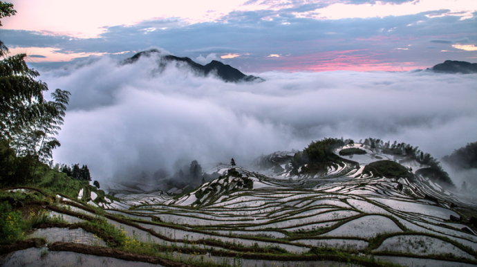 梯田景观