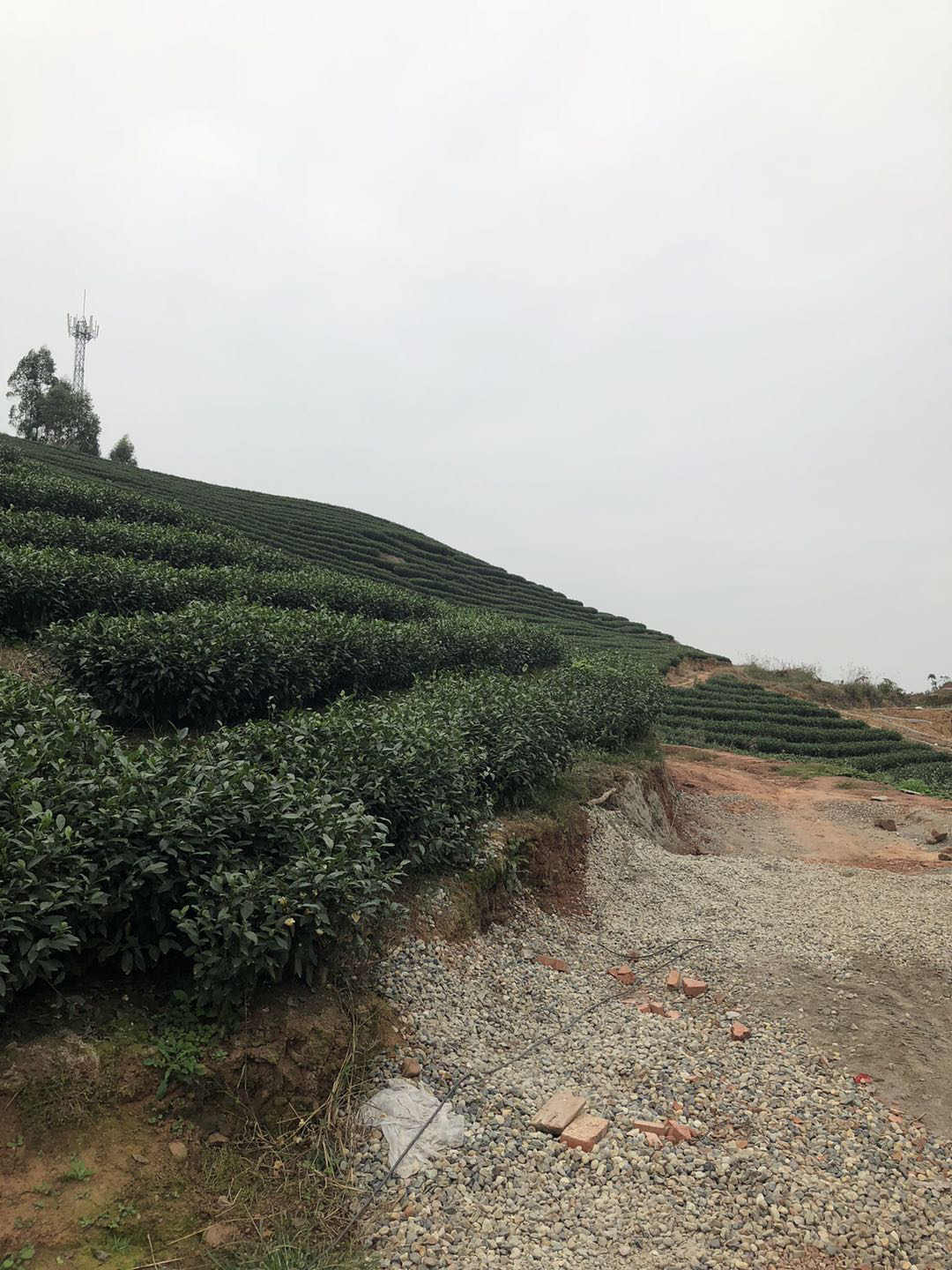 重庆凉山州喜德县水肥一体化灌溉项目