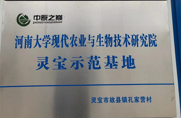 河南大学现代农业与生物技术研究院灵宝示范基地