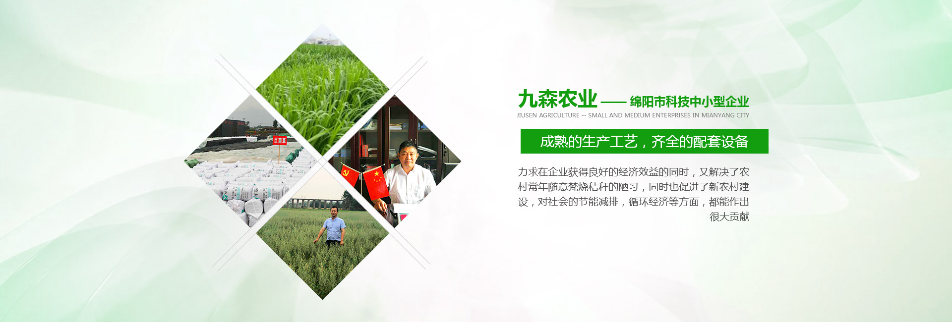 绵阳市安州区九森农业科技有限公司