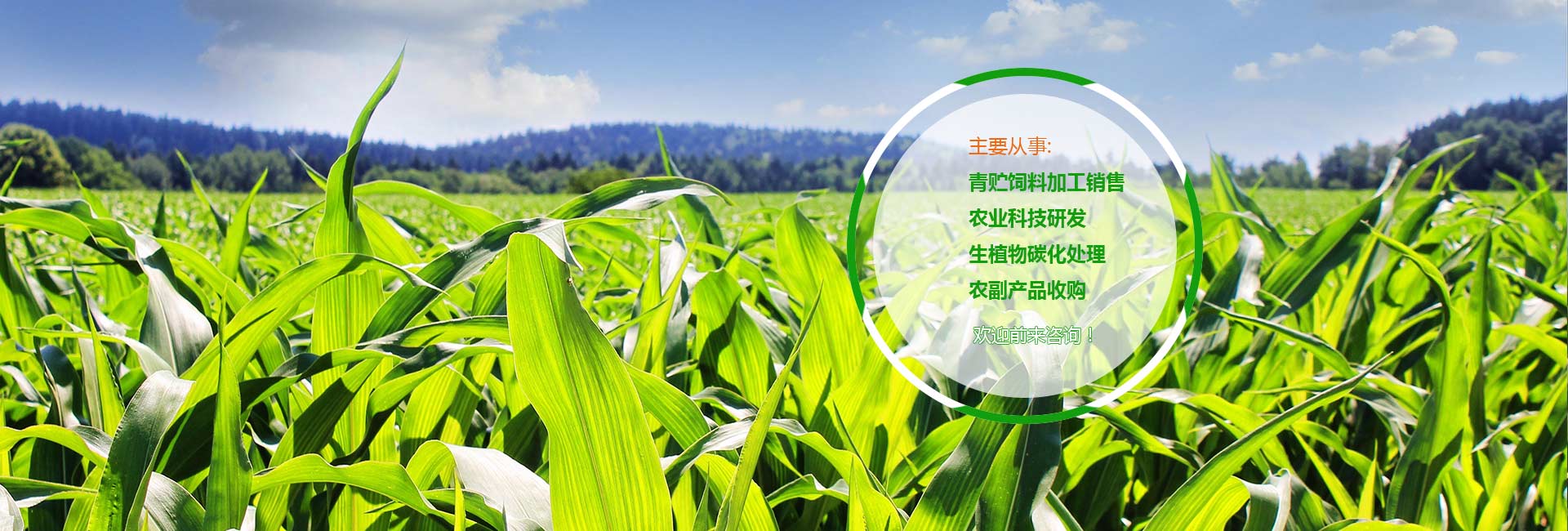绵阳市安州区九森农业科技有限公司