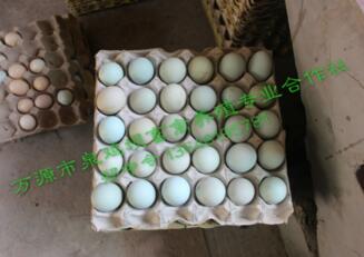 3种较动人的四川旧院黑鸡蛋做法，早餐有它幸福感飙升！
