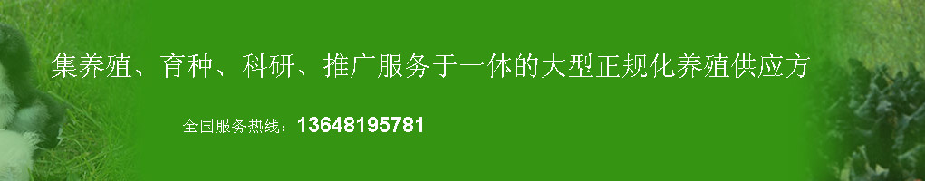 万源市泉鸡坝畜禽养殖专业合作社