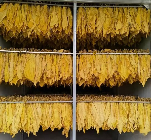 烤烟烤药材生物质颗粒怎么选择，踩坑点有哪些？