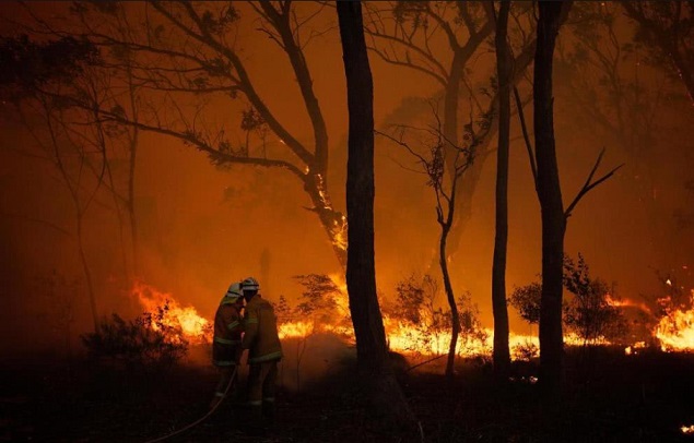 据报道，澳大利亚林火持续肆虐，引起大众反思。