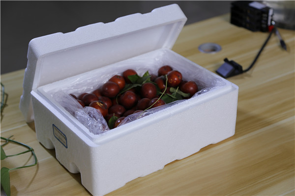 陕西蔬菜泡沫包装：环保新趋势探索