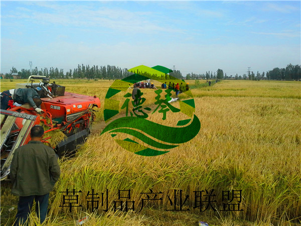 宁夏芭乐视频色版APP农业科技开发有限公司