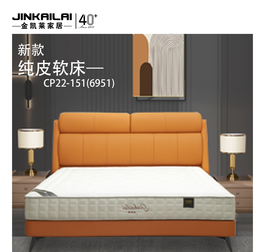 金凯莱家居【CP22-151】
