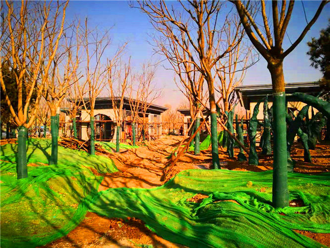 北京世园会钢结构小品氟碳漆防腐