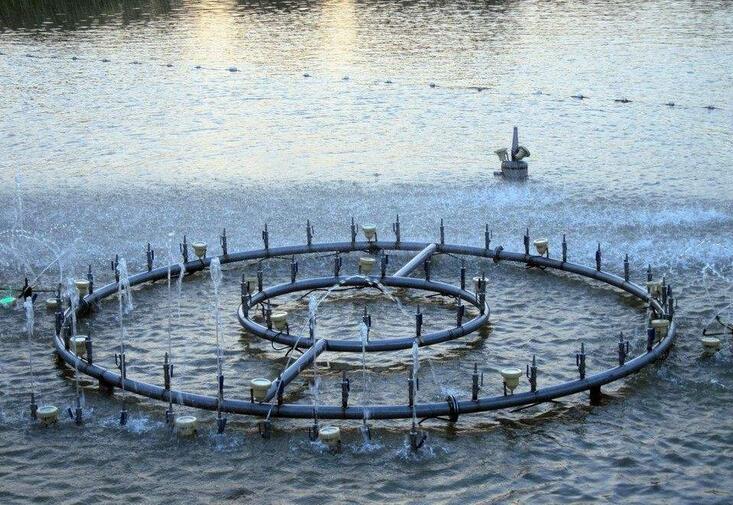 生活中常见的四川喷泉水景有哪些类型？