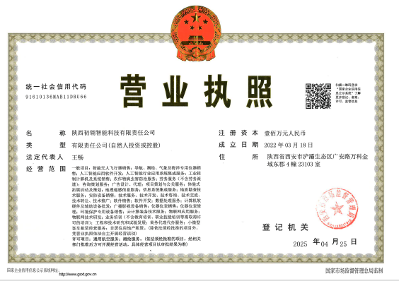 陕西初翎能源营业执照