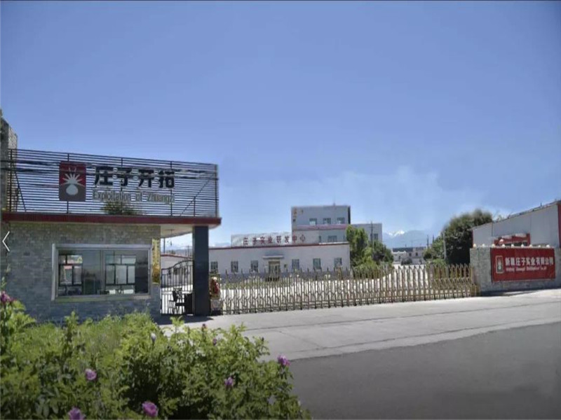 三级联动帮扶赋能，昌吉州常委李翠玲赴庄子实业实地调研！