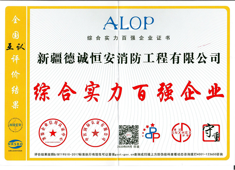 综合实力百强企业证书