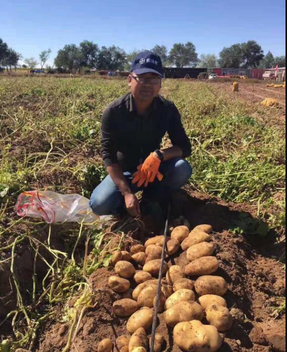 鑫雨種業與華頌農業進行種薯種植合作