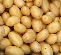長芽的土豆還能不能吃？