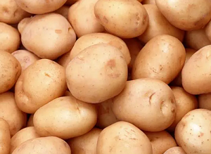 红皮土豆比黄皮土豆的粉质会更少一点