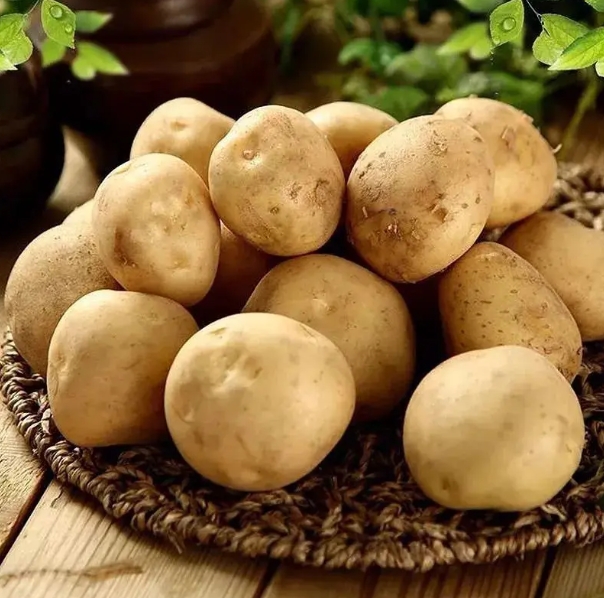 马铃薯对生长环境有哪些要求？