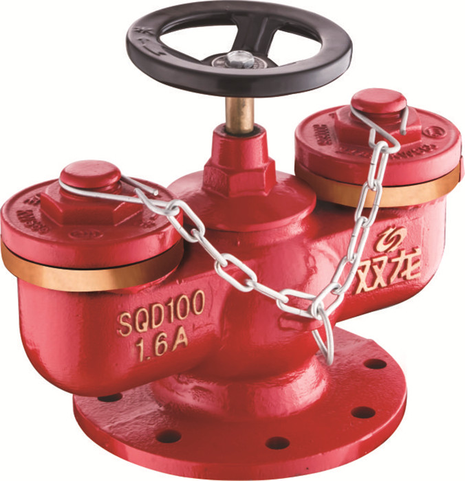 西安多用式消防水泵接合器