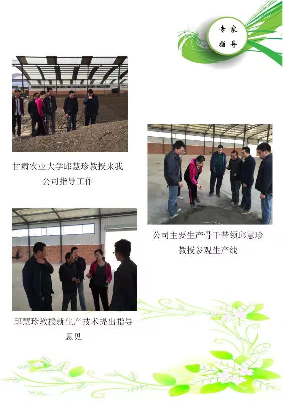 三维结构的现代农业