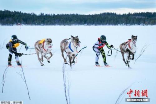 2019冬博会主宾国确定为芬兰 将展示**“冰雪力量”