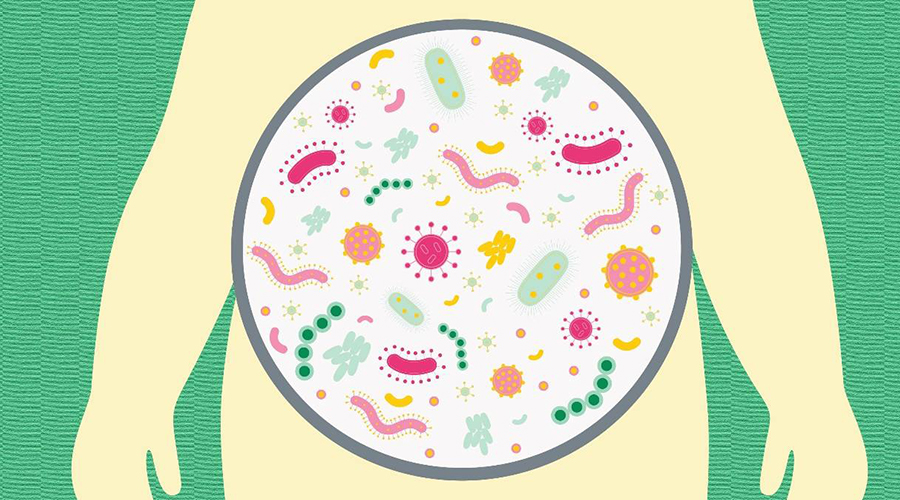 如何幫孩子遠離秋季腹瀉？補充益生菌有用嗎？