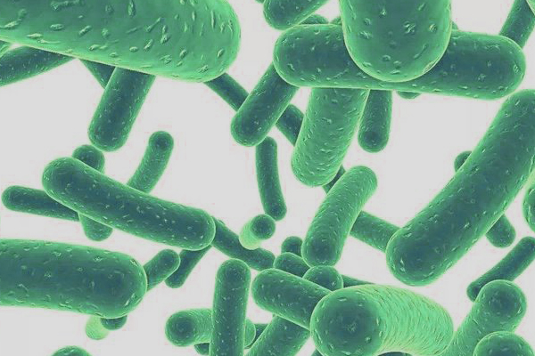 服用益生菌会有依赖性和副作用吗？