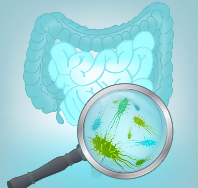 益生菌如何控制腹泻？