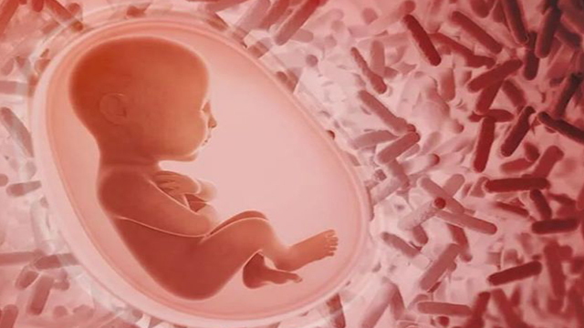 益生菌是如何助力宝宝菌群建立的？为何剖宫产宝宝需要额外关注？