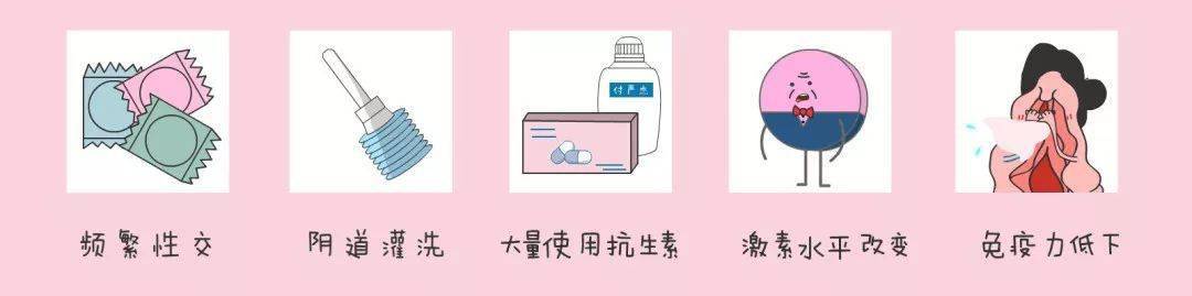 益生菌与女性阴道健康