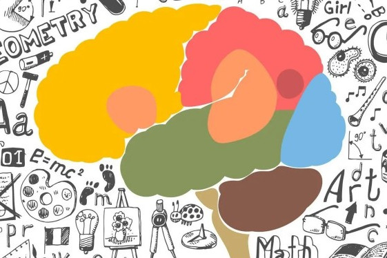 自闭症是因为大脑区域连接异常吗？