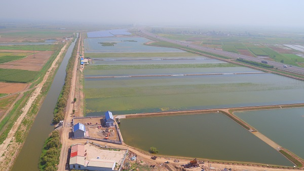 典农河石嘴山段汪家庄（水环境）生态湿地工程