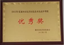 2012年度民营医院奖